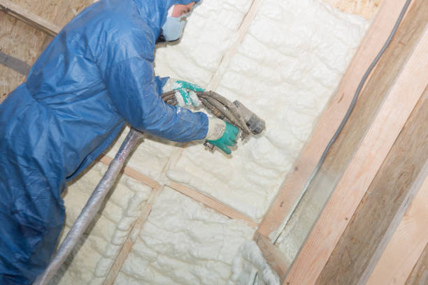 Best Commercial Insulation Services  in Ramseur, NC