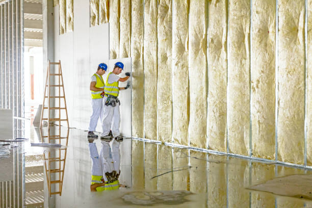 Types of Insulation We Offer in Ramseur, NC